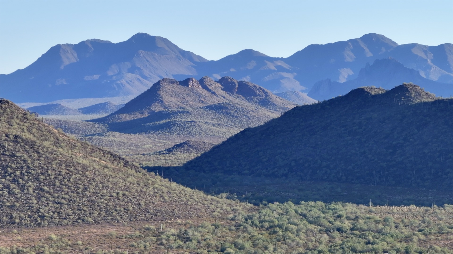 Zoomed landscape view across terrain in the Ironwood–Picacho wildlife linkage